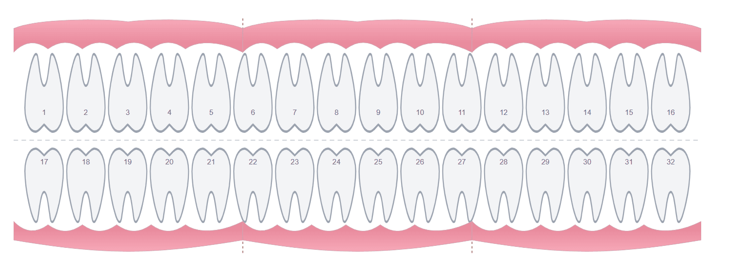 Oral IQ 3D dental model interface